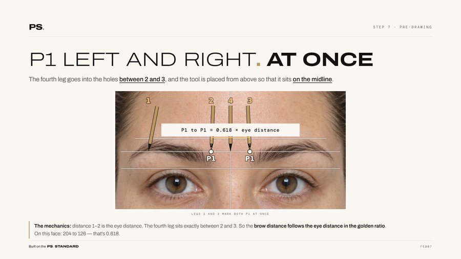 Seite aus dem Material PS. Standard Brows